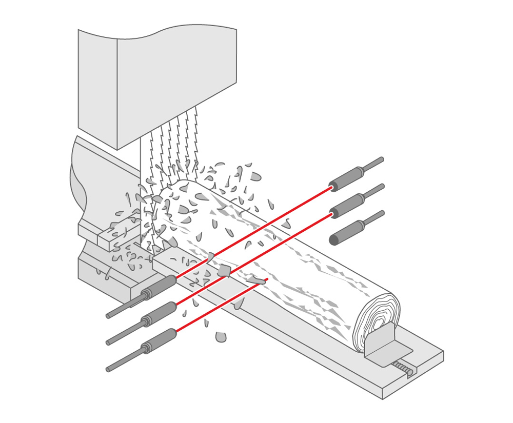 Wood Processing & Automation