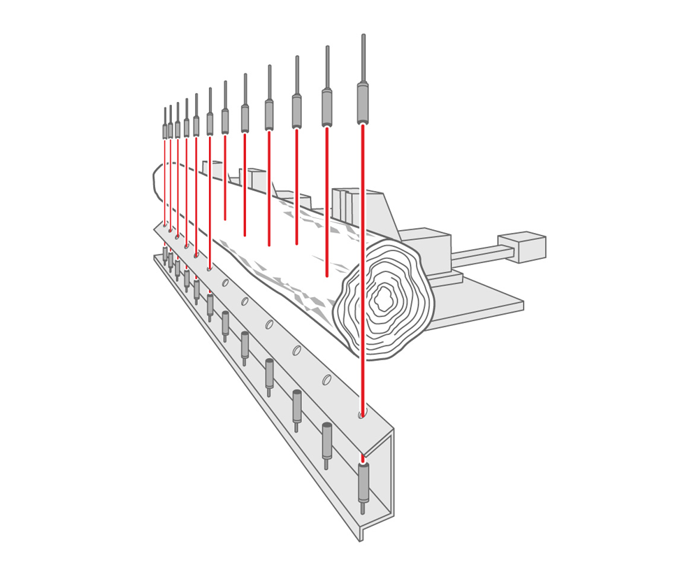 Wood Processing & Automation