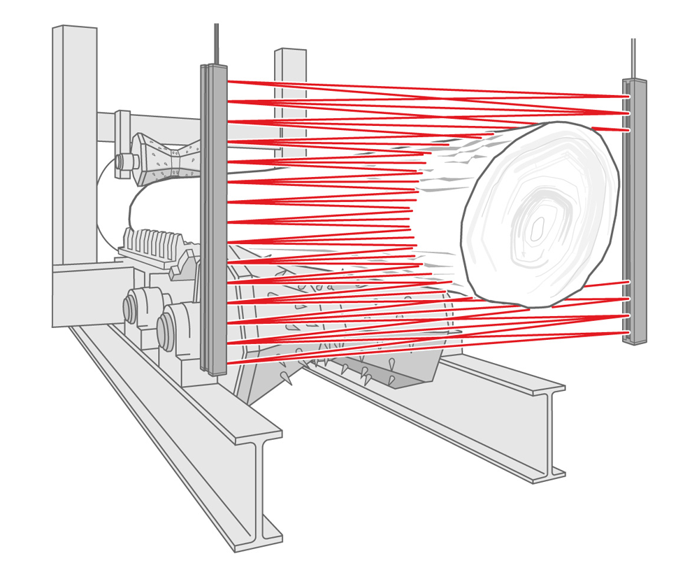 Wood Processing & Automation