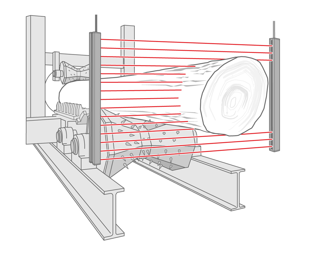 Wood Processing & Automation